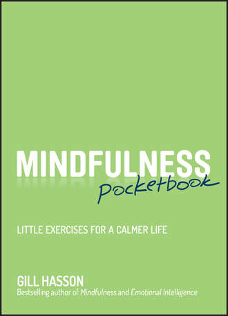 Mindfulness Pocketbook