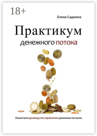 Практикум денежного потока. Пошаговое руководство управления денежным потоком