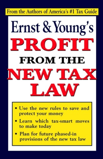 Ernst &amp; Young's Profit From the New Tax Law