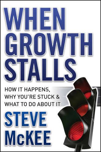 When Growth Stalls. How It Happens, Why You're Stuck, and What to Do About It