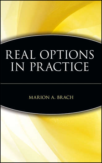 Real Options in Practice