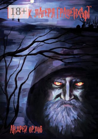 Призрак лагеря Грауенхафт. Ужастики