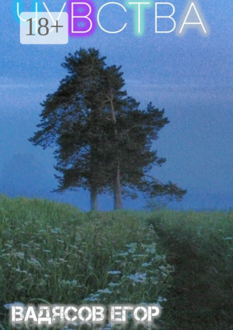 Чувства. Все чувства когда-то заканчиваются, но я верю что есть продолжение…