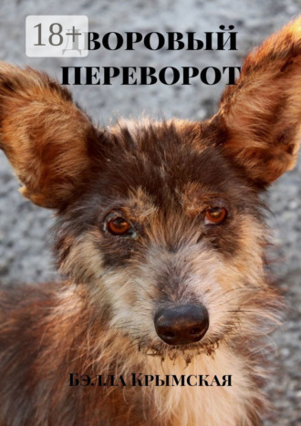 Дворовый переворот