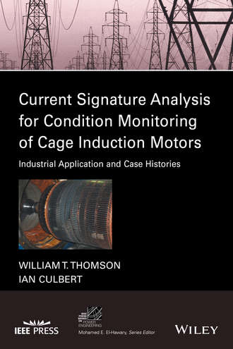 Current Signature Analysis for Condition Monitoring of Cage Induction Motors. Industrial Application and Case Histories