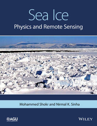Sea Ice. Physics and Remote Sensing