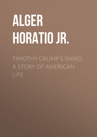 Timothy Crump's Ward: A Story of American Life