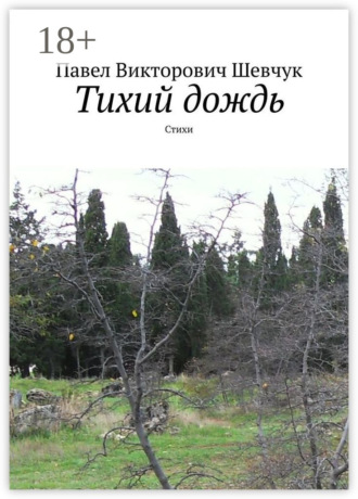 Тихий дождь. Стихи