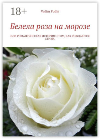 Белела роза на морозе. Или романтическая история о том, как рождаются стихи