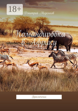 Командировка в Африку. Приключения