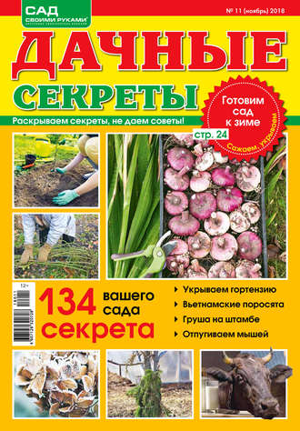Дачные секреты №11/2018
