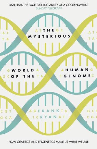 The Mysterious World of the Human Genome