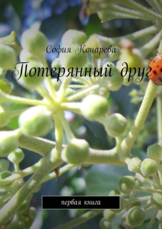 Потерянный друг. Первая книга