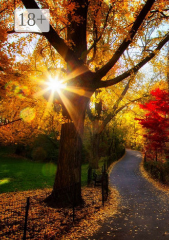 Счастье любит тишину… Я дорожу лишь теми, кто спешил ко мне, бросив все свои дела. Научившись дорожить людьми, сам становишься бесценным