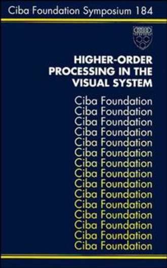 Higher-Order Processing in the Visual System