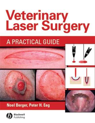 Veterinary Laser Surgery