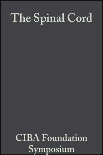 The Spinal Cord