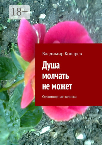 Душа молчать не может. Стихотворные записки