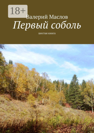 Первый соболь. Шестая книга