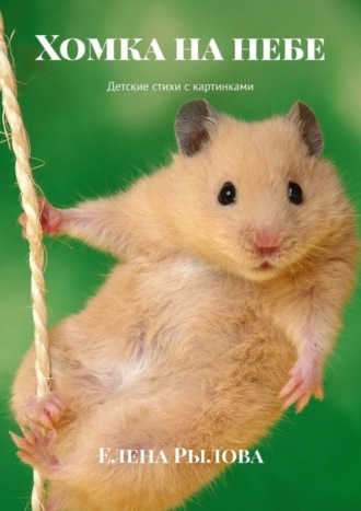 Хомка на небе