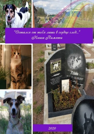 «Остался от тебя лишь в сердце след…» Книга памяти