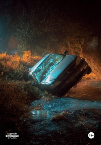 Дорога Домой