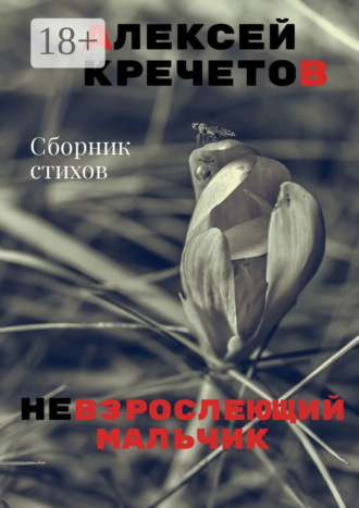 Невзрослеющий мальчик