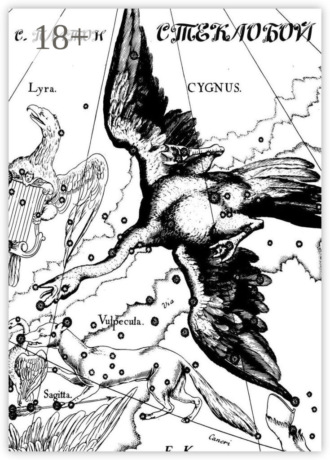 Стеклобой. Киноповесть