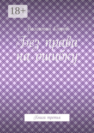 Без права на ошибку. Книга третья