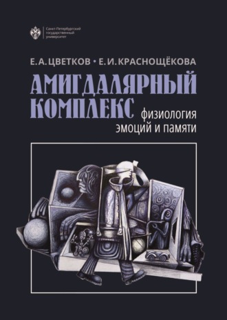 Амигдалярный комплекс. Физиология эмоций и памяти