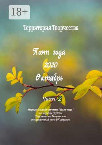 Поэт года. 2020. Октябрь. Часть 2. Первая онлайн-премия «Поэт года» по версии группы «Территория Творчества» в социальной сети ВКонтакте