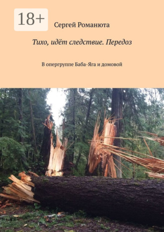 Тихо, идёт следствие. Передоз. В опергруппе Баба-Яга и домовой