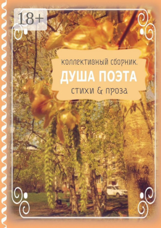 Душа поэта. Стихи & проза