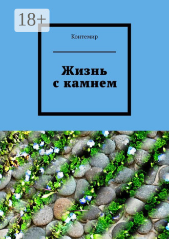 Жизнь с камнем