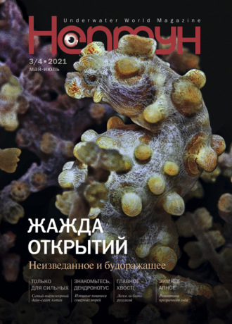 Нептун №3-4/2021