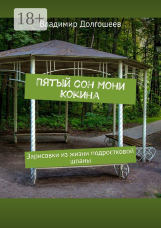 Пятый сон Мони Кокина. Зарисовки из жизни подростковой шпаны