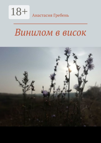 Винилом в висок