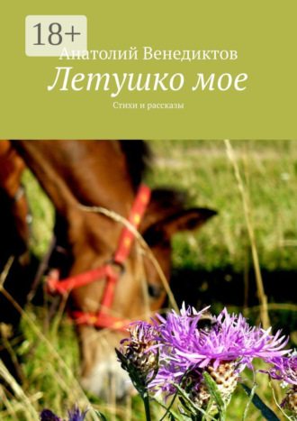 Летушко мое. Стихи и рассказы