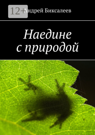 Наедине с природой