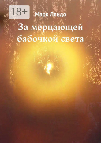 За мерцающей бабочкой света