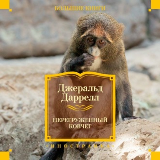 Перегруженный ковчег