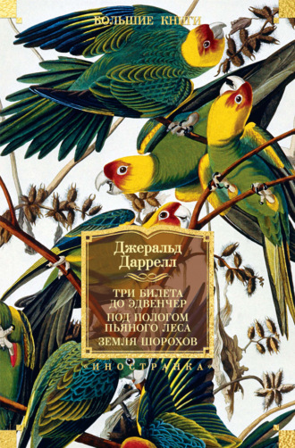 Три билета до Эдвенчер; Под пологом пьяного леса; Земля шорохов