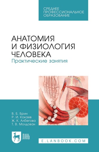 Анатомия и физиология человека. Практические занятия. Учебное пособие для СПО