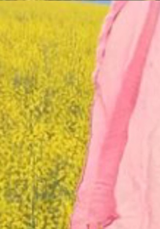 «А почему…», «Женька» и другие рассказы