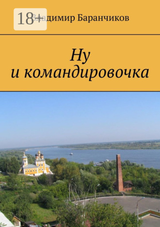 Ну и командировочка