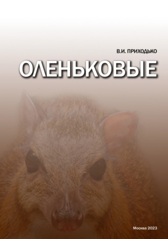 Оленьковые (Tragulidae)