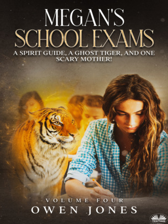 Megan's School Exams