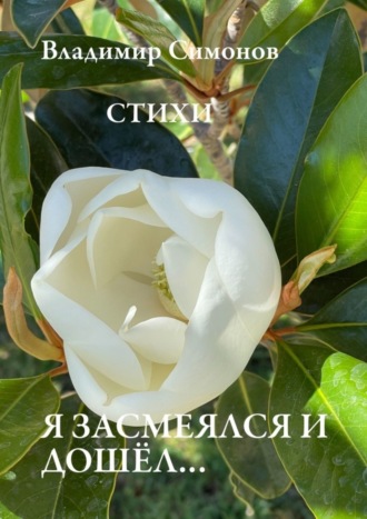 Я засмеялся и дошёл… Стихи