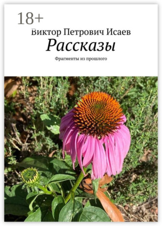 Рассказы. Фрагменты из прошлого
