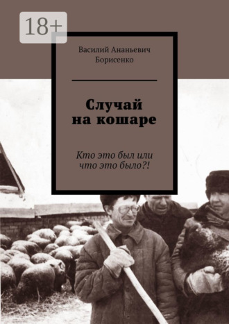 Случай на кошаре. Кто это был или что это было?!